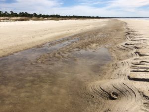 The king tide carved this swale in the sand, and then withdrew to normal levels.
